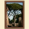 Framed colorful print of the Ostia Antica ruins in Rome Italy, taken by Photographer Scott Allen Wilson