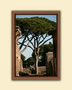 Framed colorful print of the Ostia Antica ruins in Rome Italy, taken by Photographer Scott Allen Wilson