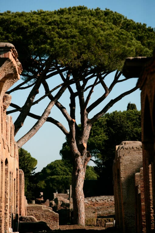 Architecture photography of the Ostia Antica ruins in Rome Italy, taken by Photographer Scott Allen Wilson