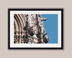 Color framed print of animal gargoyles adorning the right side of the Duomo Di Siena in Italy taken by Photographer Scott Allen Wilson