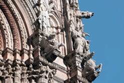 Animal gargoyles adorning the right side of the Duomo Di Siena in Italy taken by Photographer Scott Allen Wilson