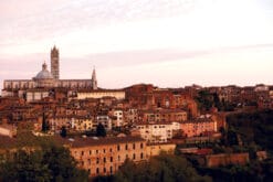 Overview of Siena in beautiful sunset and earthy colors taken by Photographer Scott Allen Wilson.