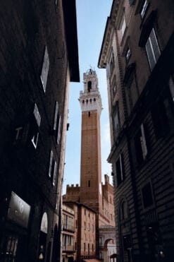 Tower of Palazzo Pubblico framed by a narrow medieval street in Siena, Italy, taken by Photographer Scott Allen Wilson.