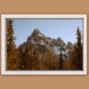 White framed print of mountain peaks of the Dolomites, Italy surrounded by reddish trees, taken by Photographer Scott Allen Wilson