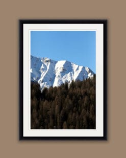 Framed print of snow-capped mountains from the Dolomites, Italy with a pine tree forest below taken by Photographer Scott Allen Wilson.