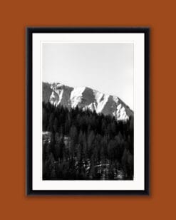 Framed print of snow-capped mountains surrounded by pine trees in the Dolomites, Italy taken by Photographer Scott Allen Wilson
