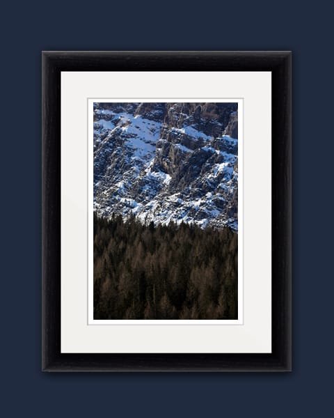 Classic framed print of the amazing texture of trees and the rocky mountains of the Dolomites, Italy taken by Photographer Scott Allen Wilson.