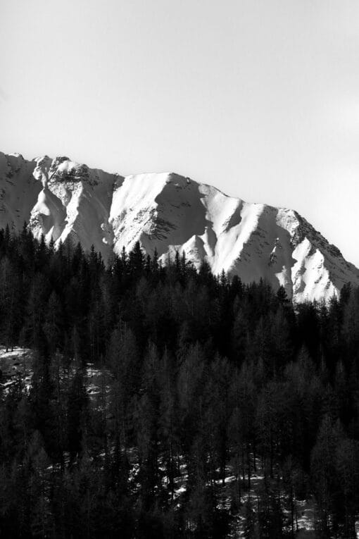 Snow-capped mountains surrounded by pine trees in the Dolomites, Italy taken by Photographer Scott Allen Wilson