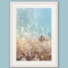 Nature photo in a white frame showing the tall grass and a turquoise sky taken in Peschiera del Garda, Italy by Photographer Scott Allen Wilson.
