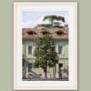 Print on a white frame of a green building with a beautiful tree in front taken in Peschiera del Garda, Italy by Photographer Scott Allen Wilson.