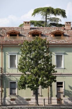 Green building with a beautiful tree in front taken in Peschiera del Garda, Italy by Photographer Scott Allen Wilson.