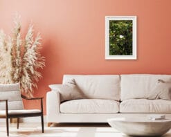 A print of a white magnolia in Parma hung in a salmon room with white minimal decor. By Photographer Scott Allen Wilson.