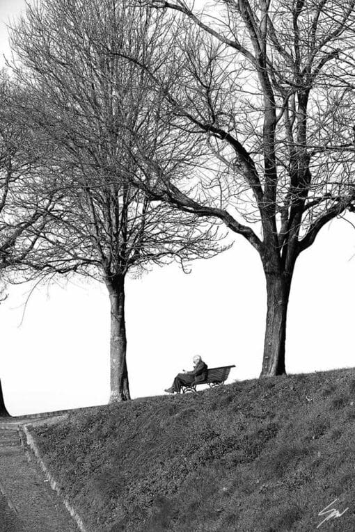 A man reading in a park in the city of Lucca, Italy. By Photographer Scott Allen Wilson.