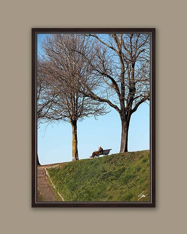 A dark brown framed print of a man reading in a park in the city of Lucca, Italy. By Photographer Scott Allen Wilson.
