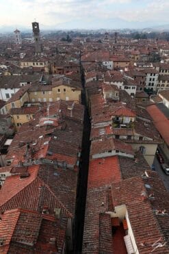 Red tiled rooftops in the city of Lucca, Italy, with some bell towers visible. By Photographer Scott Allen Wilson.