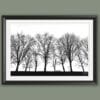 A black framed b&w print of three spooky trees in Lucca, Italy. By Photographer Scott Allen Wilson.