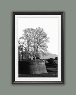 A black framed b&w print of the walls of the city of Lucca, Italy. By Photographer Scott Allen Wilson.
