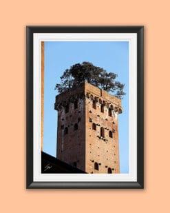 A black framed print of Torre Guinigi with trees on top of it in the city of Lucca, Italy. By Photographer Scott Allen Wilson.