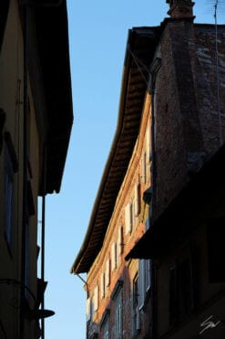 Buildings in the city of Lucca, Italy. By Photographer Scott Allen Wilson.