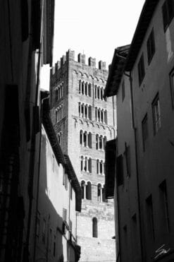 Torre San Frediano in Lucca, Italy. By Photographer Scott Allen Wilson.