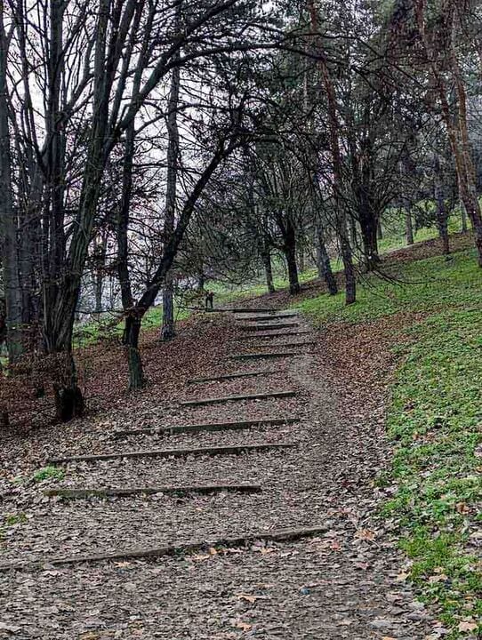 Torino sentiero nel parco