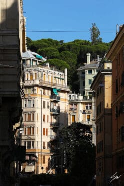 Sunlight illuminated buildings under a hill in Genova, Italy. Photo captured by Travel Photographer Scott Allen Wilson.